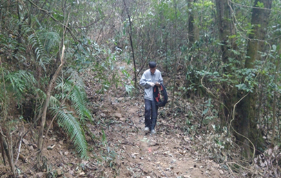 深圳市地鐵八號線梧桐山段空洞勘察工程物探勘察