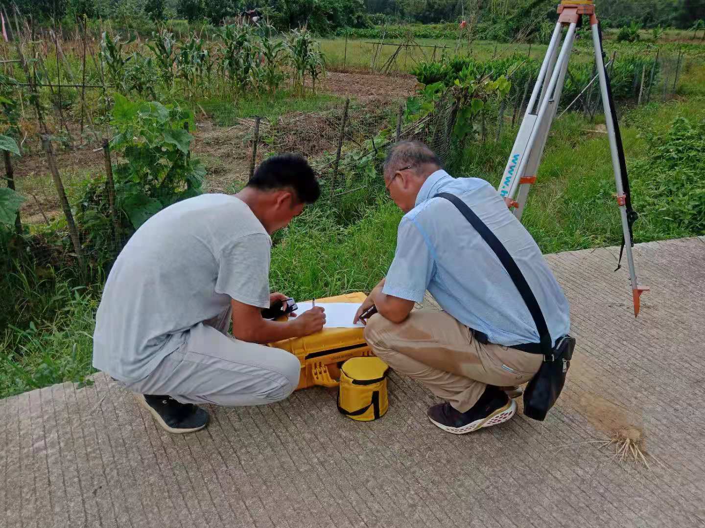 深汕特別合作區(qū)科教大道靜態(tài)測量